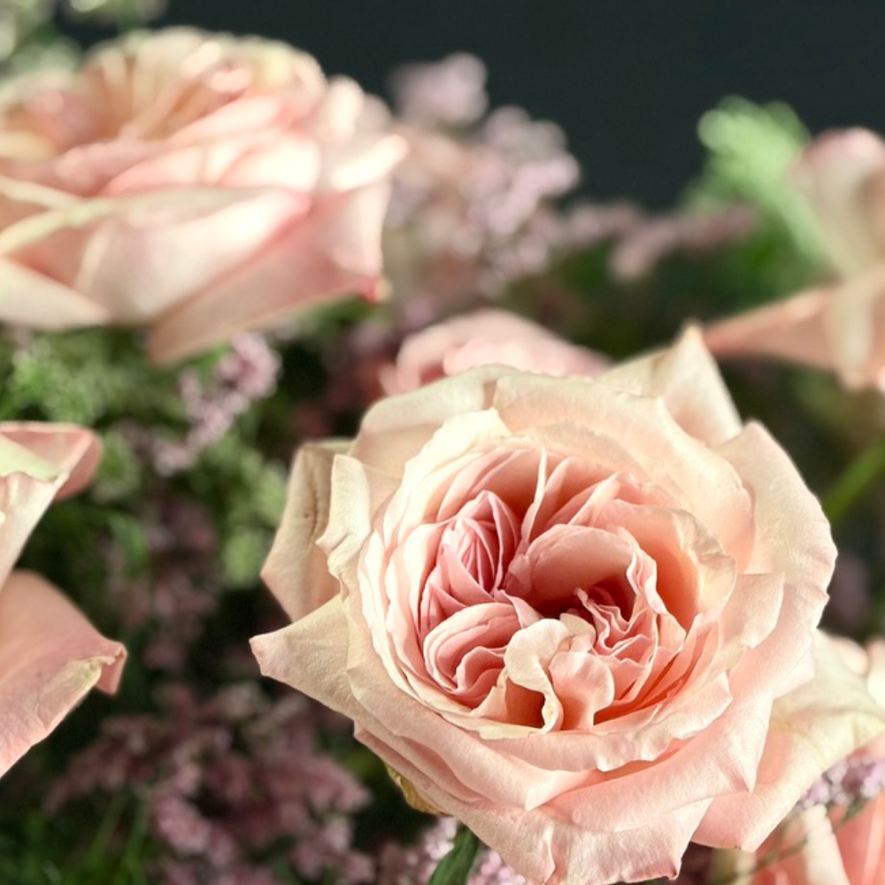 The Romance Edit - Image 3