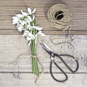 Shop Floral Tools